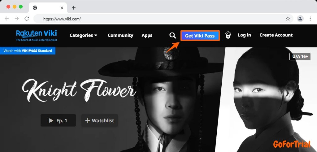 Viki Free Trial
