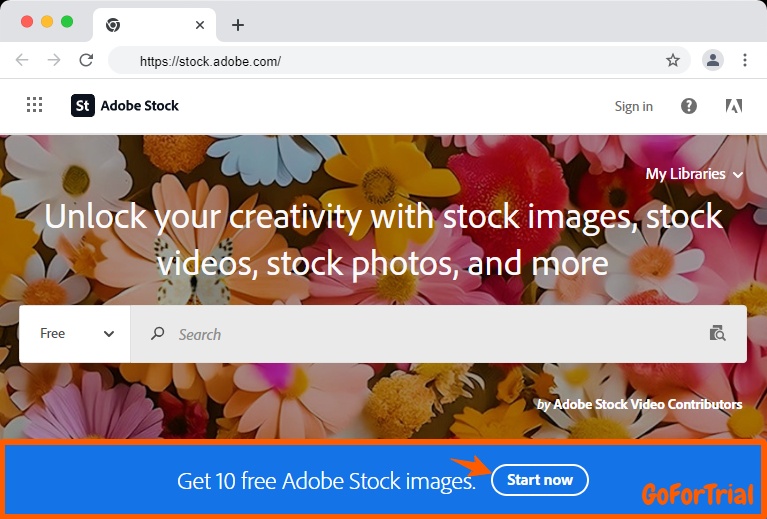 Adobe Stock Free Trial: Free Download From Your Trial Account 2 Adobe Stock Free Trial
