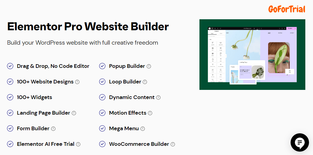 Elementor Features